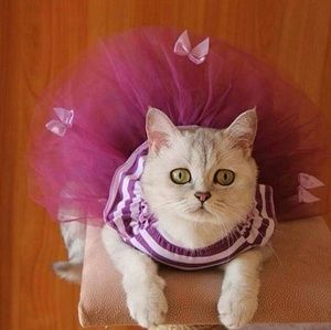 Meet your Posher, Jeannette